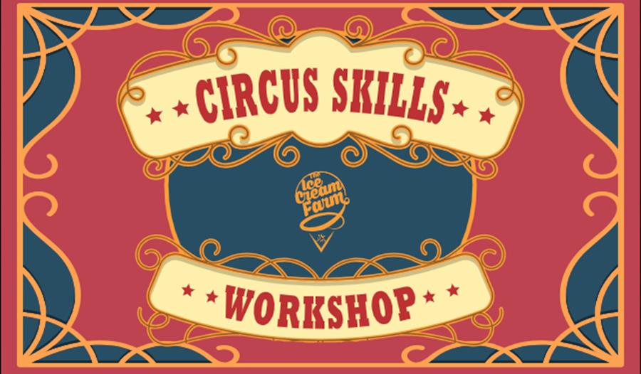 Circus Skills Workshops at the Ice Cream Farm